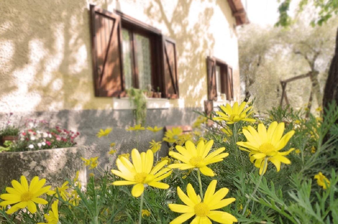 Agriturismo Macchiapiede ซาลา คอนซิลินา ภายนอก รูปภาพ
